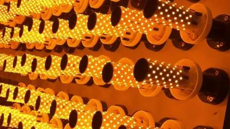 China Factory OEM Flicking LED Flame G9 Bulb with CE Approved 